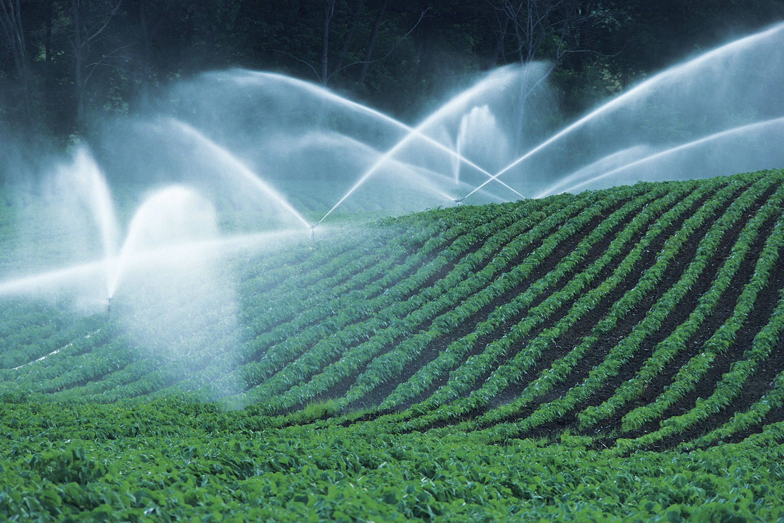 Modern damla sulama ve sprinkler sistemleri